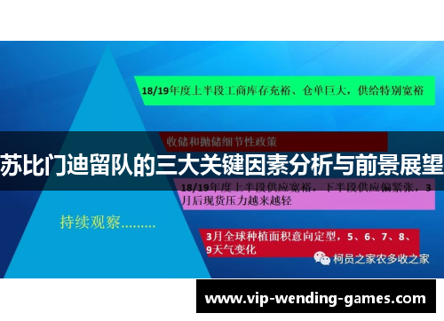 苏比门迪留队的三大关键因素分析与前景展望