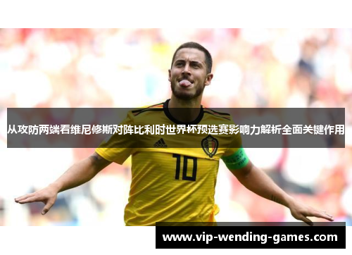 从攻防两端看维尼修斯对阵比利时世界杯预选赛影响力解析全面关键作用